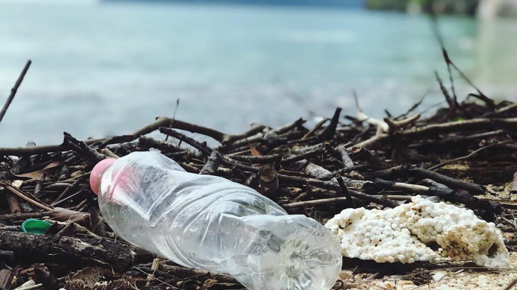Acqua e ambiente