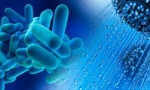 legionella in Lombardia