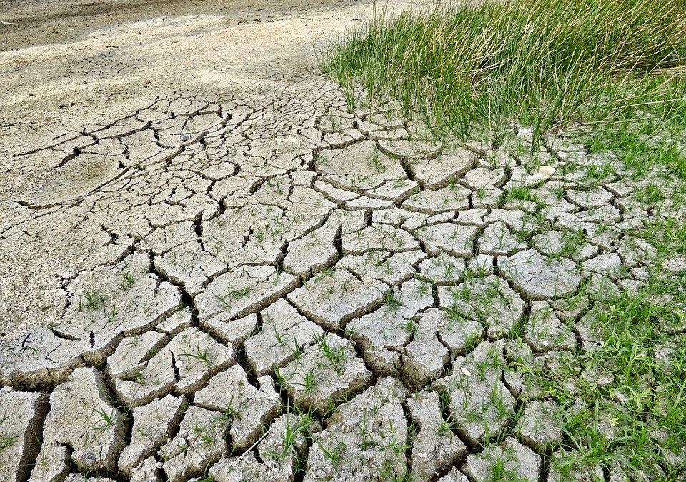 Allarme siccità: l’importanza delle risorse idriche sotterranee