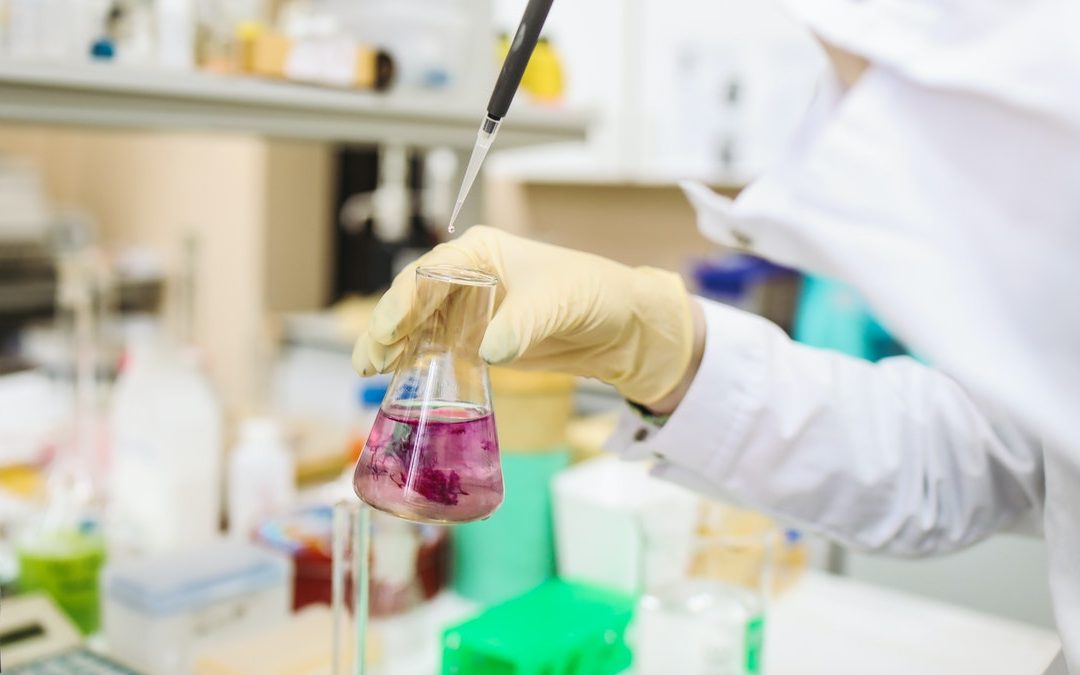 Pericolosità delle sostanze chimiche per la salute – come eliminarle dall’acqua
