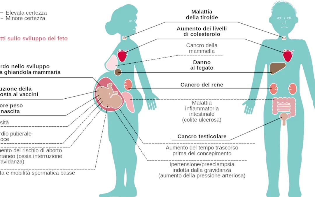 Rimozione dei PFAS dall’acqua potabile