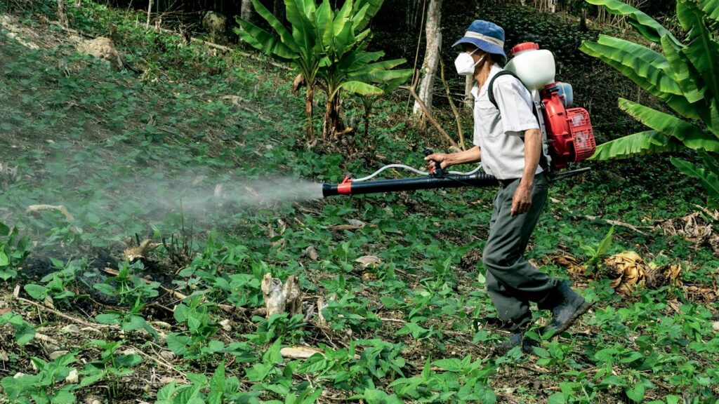 pesticidi nell'acqua domestica