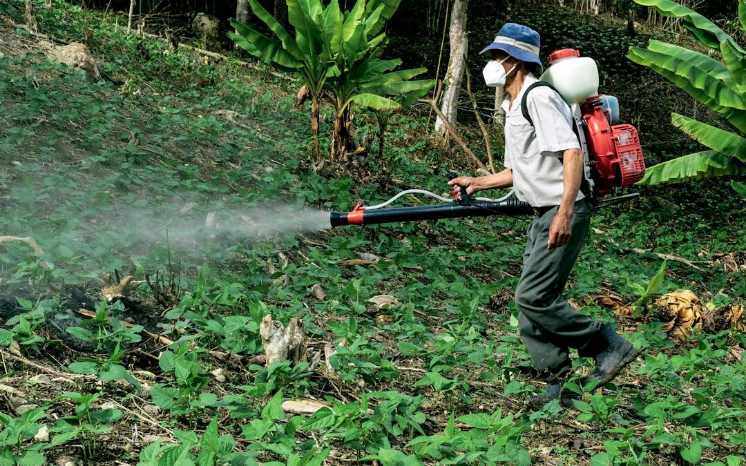 Come eliminare i pesticidi dall’acqua domestica